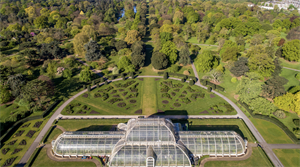 Aerial photo of Kew Gardens - Credit: RBG Kew